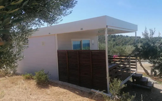 Camp Kopito