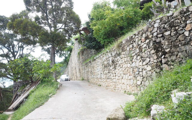 Bao Sheng Durian Farm