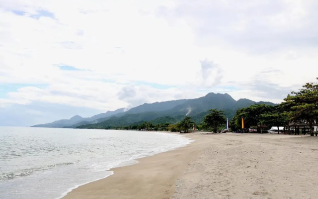 Cocoons Club Laiya