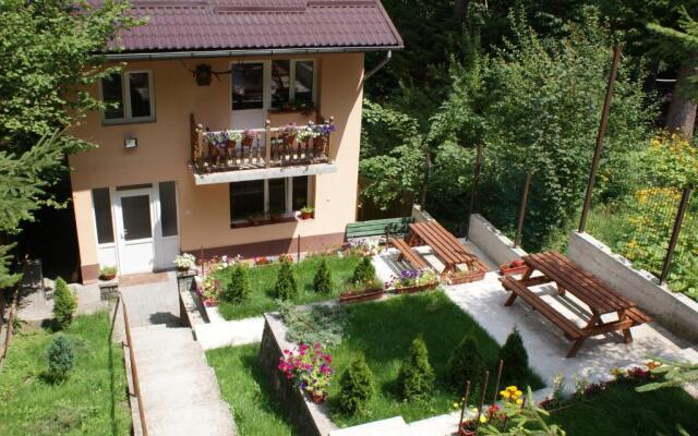 Vila Aleea