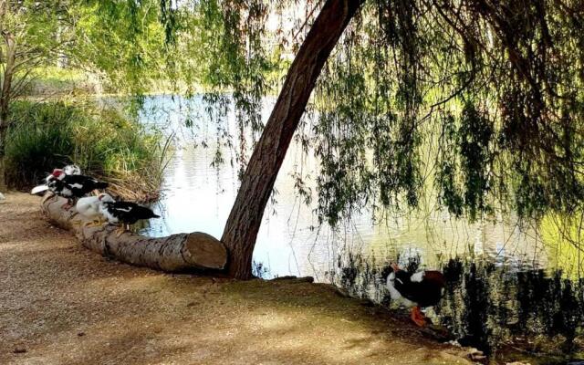 Appartement Six-Fours-les-Plages, 2 pièces, 2 personnes - FR-1-316-299