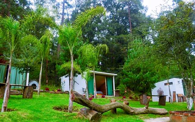 Romanticas Cabañas En Bosque