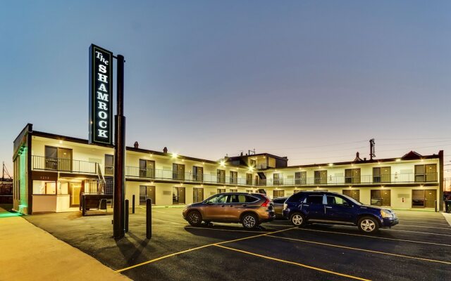 The Shamrock