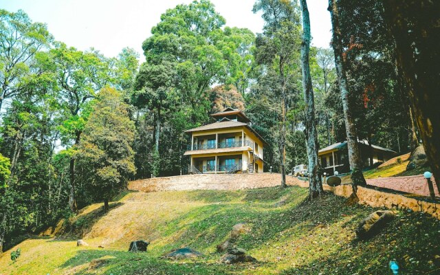 Vythiri Wild Forest Resort