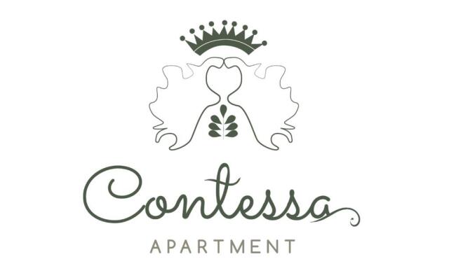 Contessa Apartment Cluj Napoca