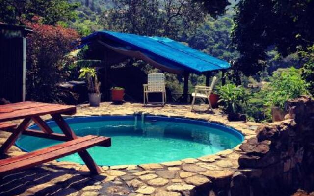 Jungle Monkey Backpackers