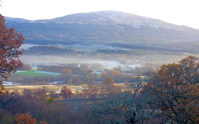 Cosy Rowan woodland lodge no3
