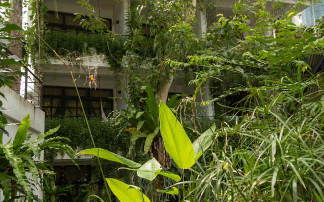 Big Tree Boutique Hotel