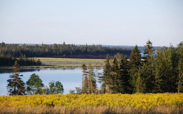 Ned's Landing at Spry Point