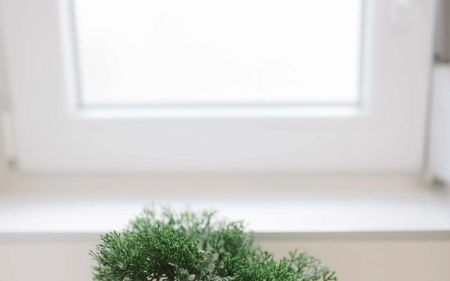 Ruža Apartmani Zadar