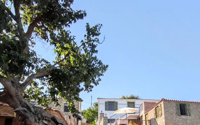 The Hill Village House