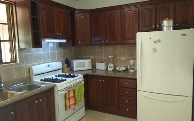 Villa Las Palmera Deluxe