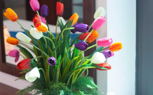 Hanoi Luxury House & Travel