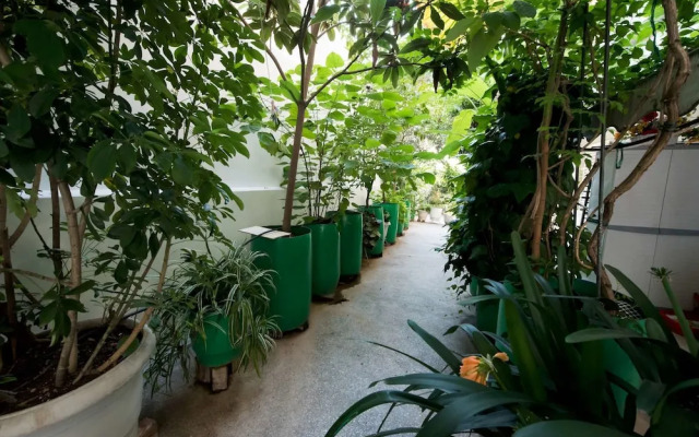 Garden Central Athinian Apartments