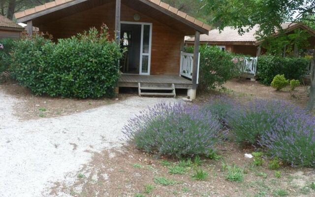 Debussy by Actisource