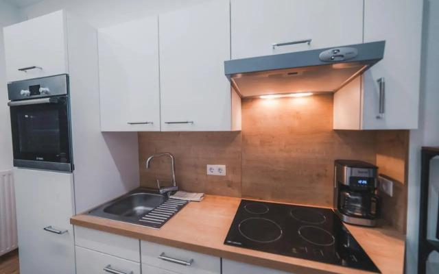 Renovated Apartment close to first district