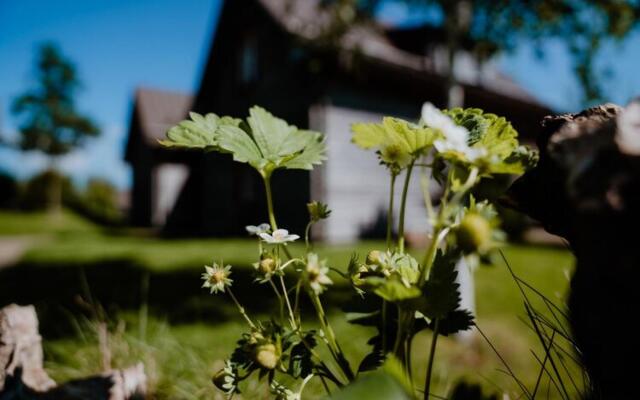 Semi-detached Houses, Turf House
