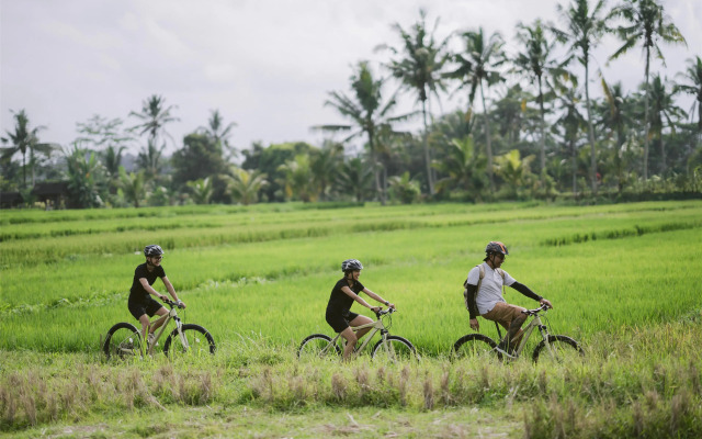 Alila Ubud. Bali