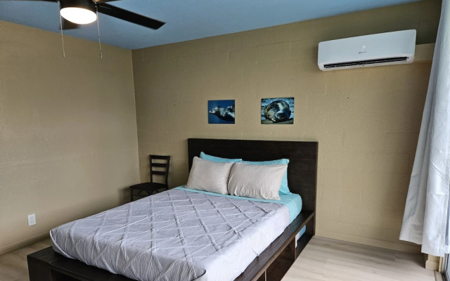 Plumeria Hilo Hotel
