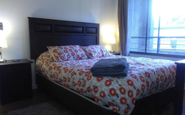 Apartamento Living Montt