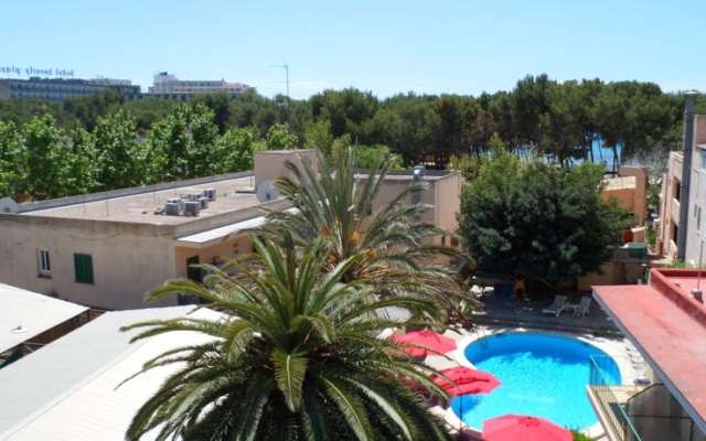 Celo Garden