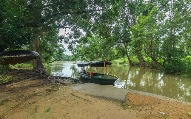 Dubare Elephant Camp