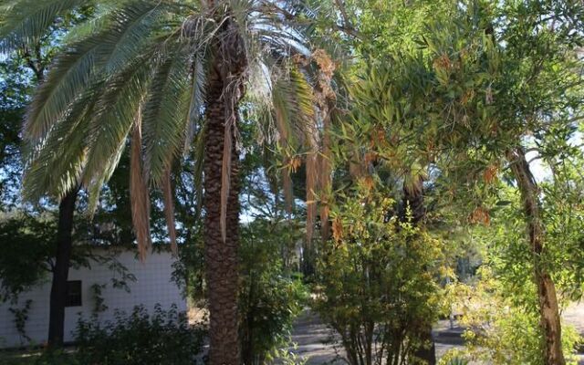 Tree House Namibia