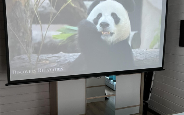 Дом с панорамными окнами