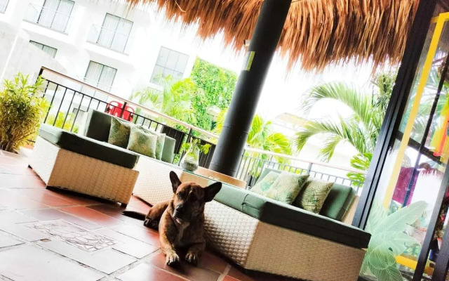 Hotel Arboreo Doradal