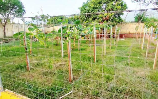 Ayenda Brisas del Caribe