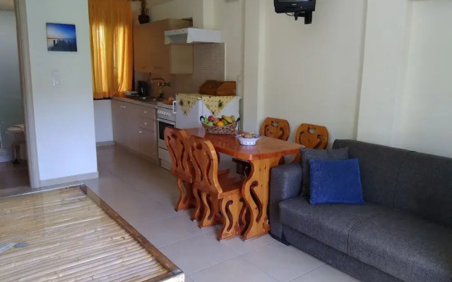 Spaceful Apartment With Veranda 'n Garden