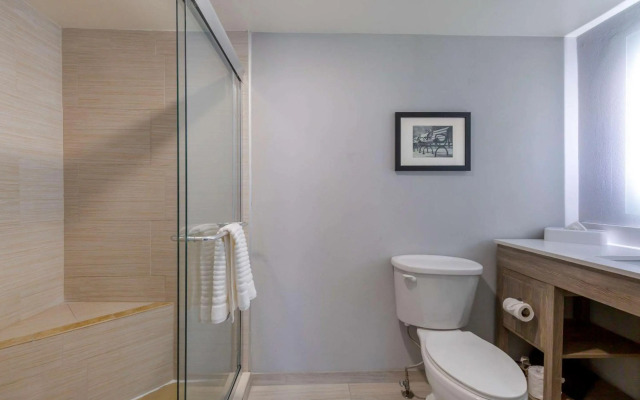 Comfort Inn & Suites Alexandria West