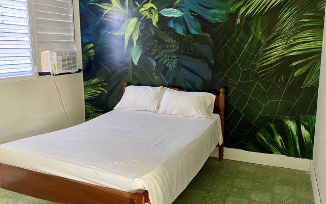 Rum Punch Lodge