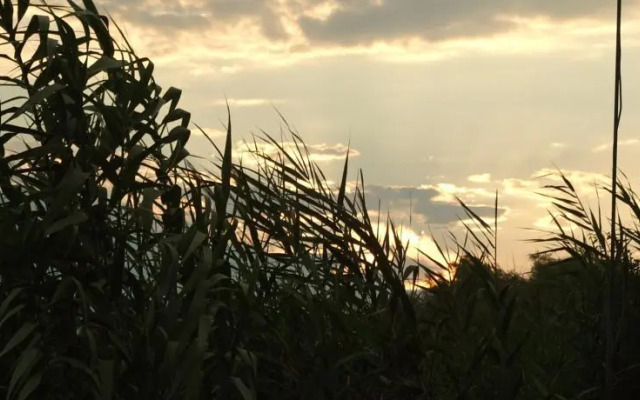 Andrea - Duna Delta Tours