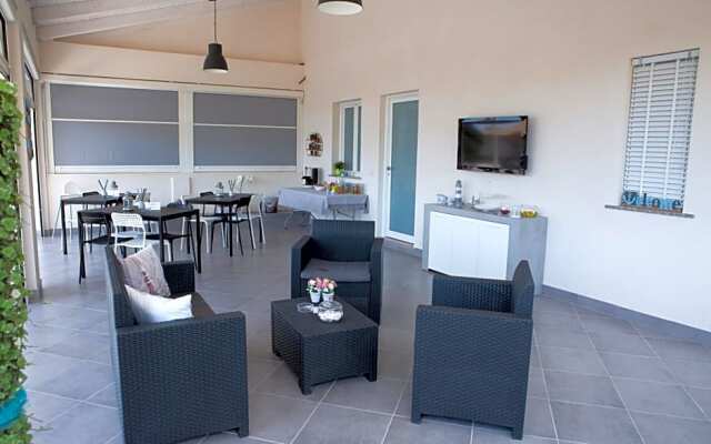 B&B Dionea