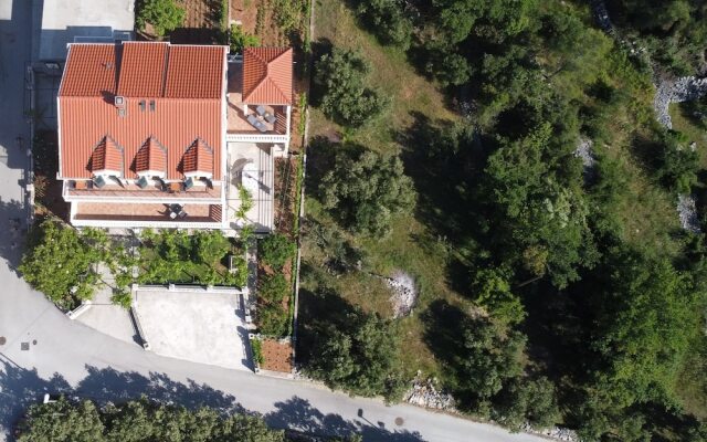 Apartments Kola
