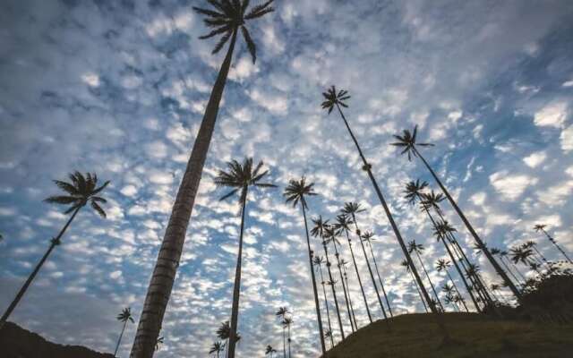 San Pedro Salento Apartahotel