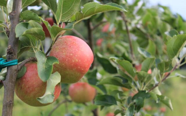 CASCINA LEGNAGO - bilocale a 6 chilometri da SALO'