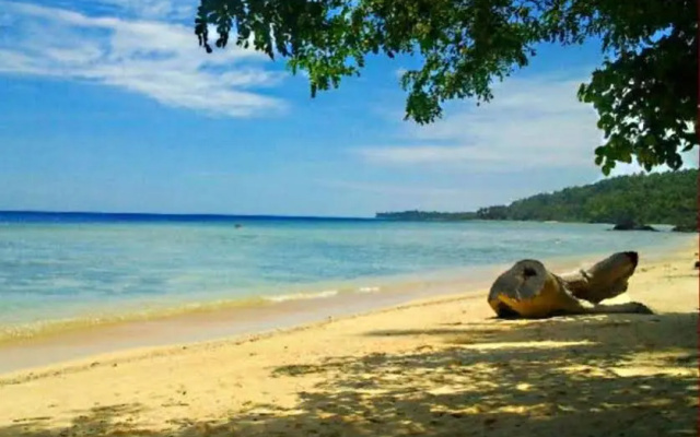 Treasure Island Beach Resort