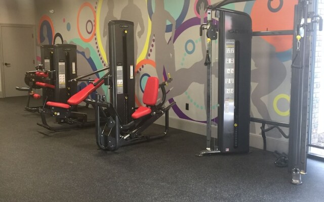 Lexington Vacations Champ by Stark Hosp