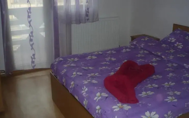 Cabana Ioana Balas