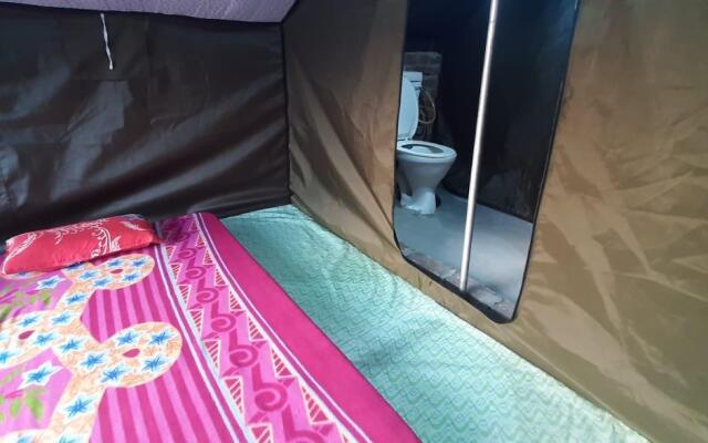 PineHills Nature Camp