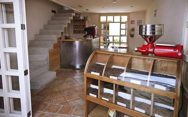 Snail Bed and Breakfast - Hostel - Adults only