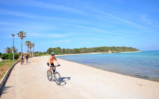 Apartment And Rooms Amenka