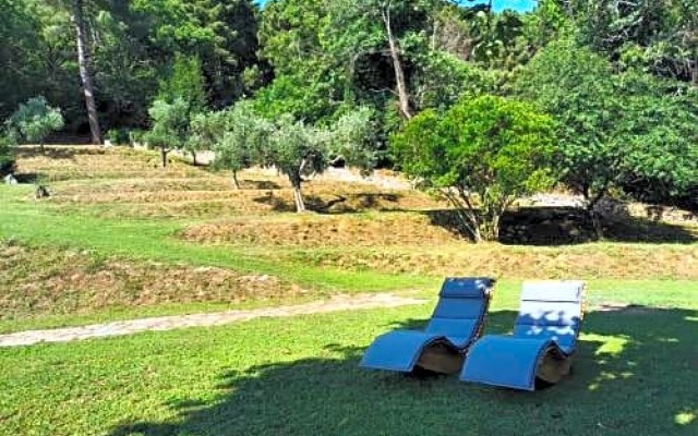 A14 Pietrasanta La Dama del Bosco