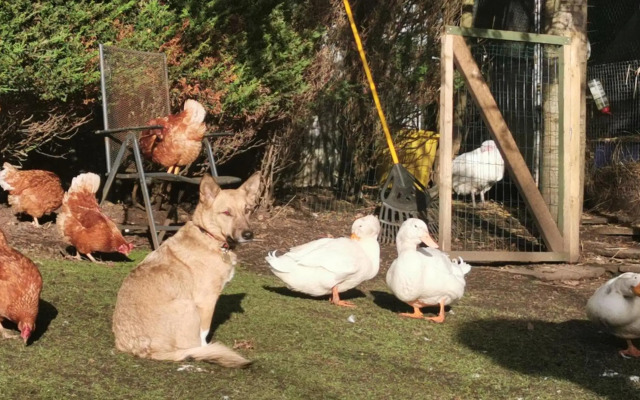 The Base Vegan Retreat