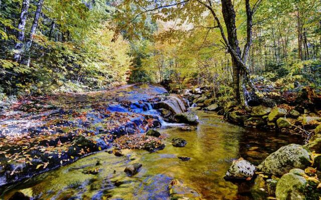 Chalets Alpins - 10 Chemin Blanc