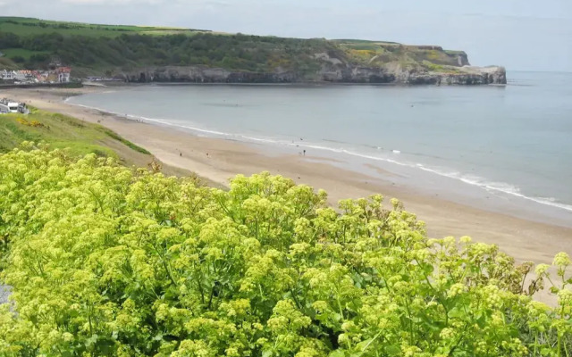 The Office Gardens, Apartment 1