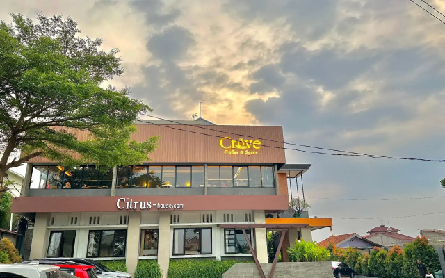 Citrus-house.com Hotel