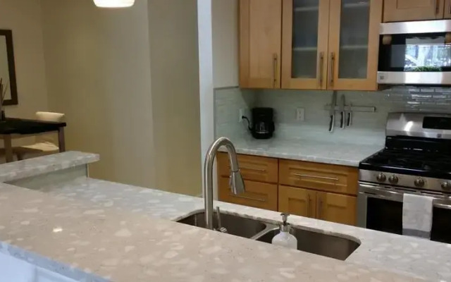Detroit Villa
